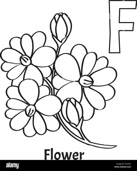 Vector Alphabet Letter F Coloring Page Flower Stock Vector Image