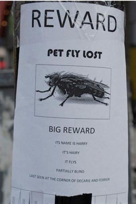 The Funniest Missing Posters Of All Time Funny Posters Missing