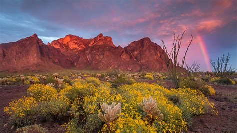 Kofa National Wildlife Refuge Arizona Highways