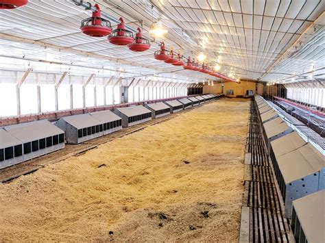 2 House Poultry Breeder Farm Farm For Sale In South Carolina 209589
