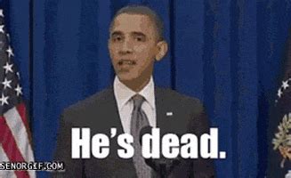 Sep 26, 2019 · unser konverter unterstützt auch andere bildtypen als jpg, also kannst du auch gerne bilder in den formaten png, gif, tiff oder bmp hochladen. Osama Bin Laden Is Dead GIFs - Find & Share on GIPHY