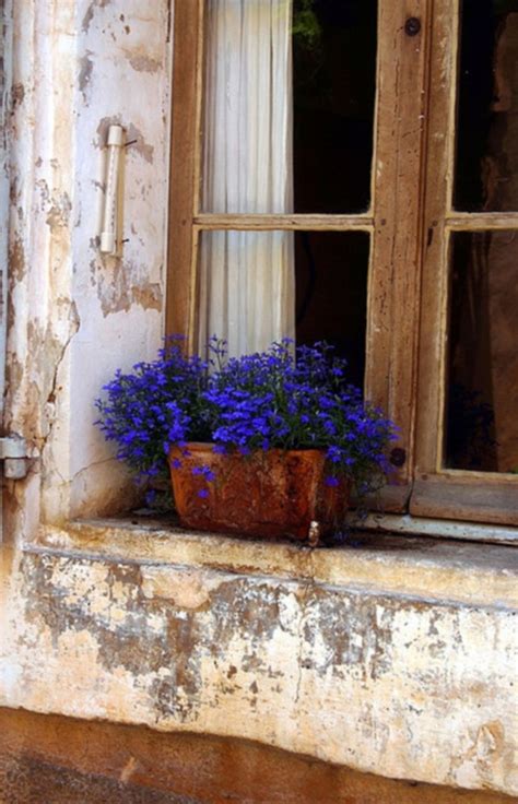 Cool 49 Ways To Make A Beautiful Home With Flowers On Window Sills