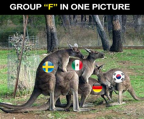 Find and save f meme memes | from instagram, facebook, tumblr, twitter & more. WC2018 Russia Group "F" : memes