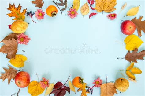 Autumn Flat Lay Border Made With Various Colorful Fall Leaves On Light