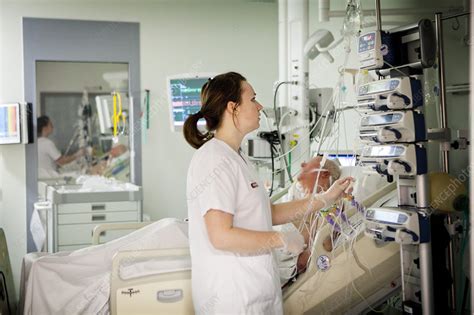Intensive Care Unit Stock Image C0182605 Science Photo Library