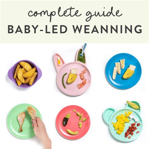 Complete Guide To Baby Led Weaning Recipes Tips And More Baby Foode