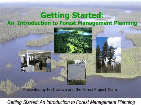 A Forest Management Plan
