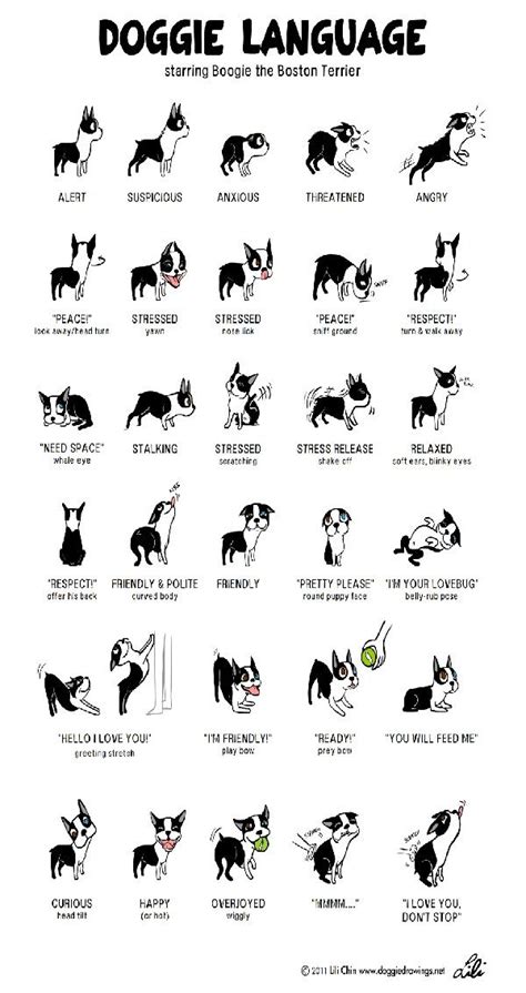 Image Result For Dog Body Language Chart Dog Language Dog Body