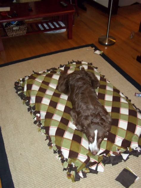 Our Big Blue House Homemade Dog Bed