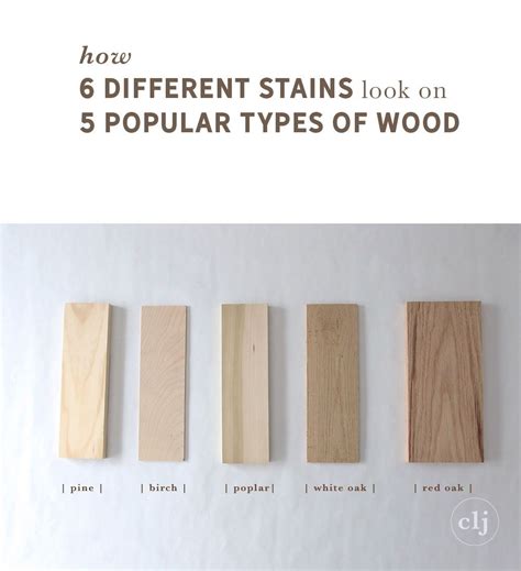 How 6 Different Stains Look On 5 Popular Types Of Wood Staining Wood