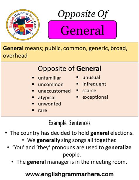 Opposite Of General Antonyms Of General Meaning And Example Sentences