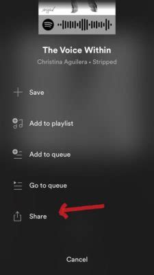 Cara Share Lagu Spotify Yang Kamu Dengar Ke Instagram Story