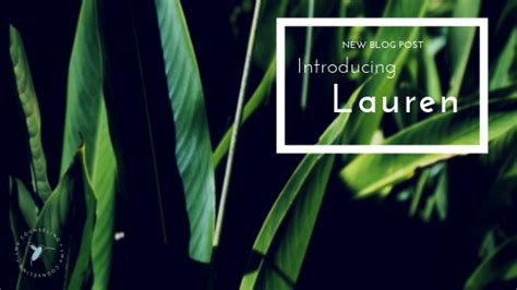 Meet The Counselor Lauren Vilar Lmv Counseling