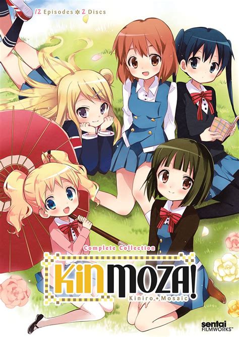 Kinmoza Kiniro Mosaic Dvd Complete Collection S Anime Anime Dvd