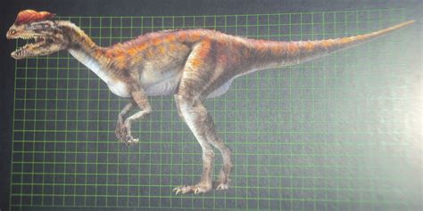 Image Dilophosaurus In The Field Guide To Dinosaurs Jurassic
