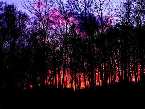 This Picture Of A Sunset That I Took Kind Of Looks Like A Forest Fire