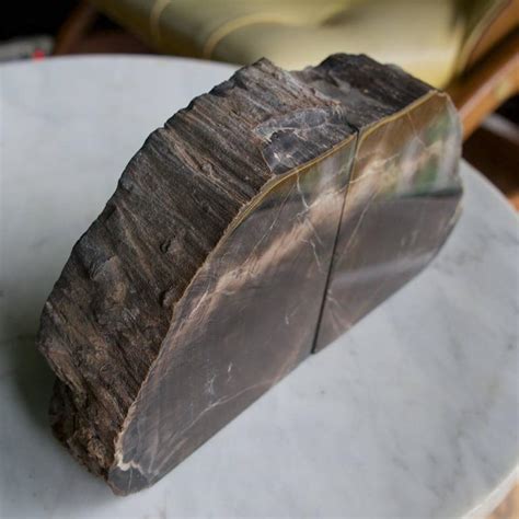 Petrified wood ancient piece black sideview. Rare Bookmatched Black Petrified Wood Polished Monolithic ...