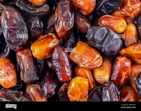 Date Palm Fruit High Resolution Stock Photography And Images Alamy