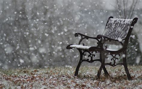 Snowy Bench Wallpaper Nature And Landscape Wallpaper Better