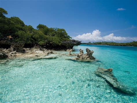 Aldabra Island Places To Go Places To Visit Nature Scenes