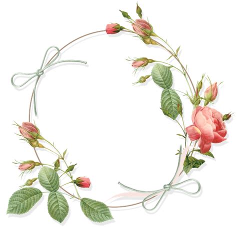 Download Vintage Flowers Rose Frame Flower Frame Flower Art
