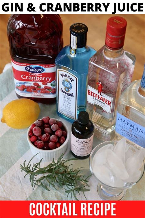 Gin And Cranberry Juice Cocktail Drink Recipe Dobbernationloves