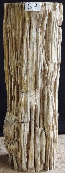 Petrified Wood Sculpture 007 A Eh Designs By Luca Inc