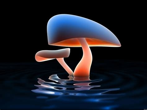 3d Mushroom Wallpaper Free Hd Backgrounds Images Pictures