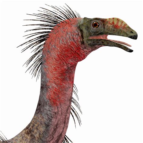 Therizinosaurus Pictures Az Animals