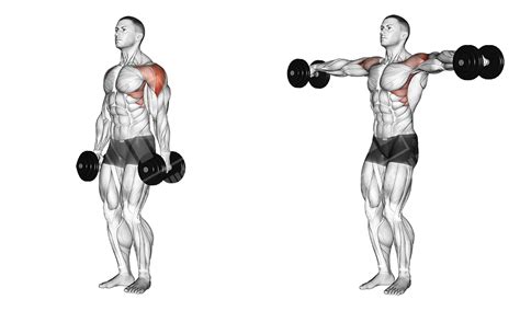 No Press Shoulder Workout Meanmuscles