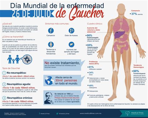 Infografías Médicas Enfermedad De Gaucher Enfermedad Fisiología