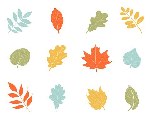 Vector Autumn Leaves Autumn Leaves Simple Cartoon Nature Symbols