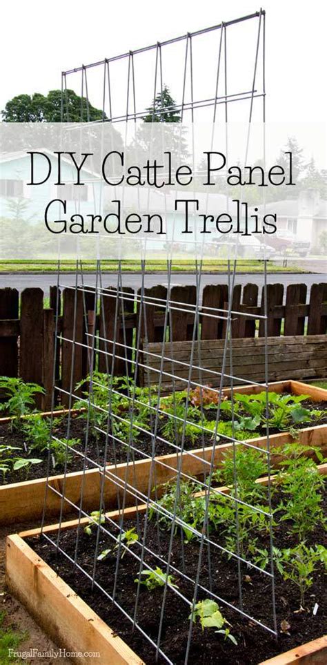 23 Functional Cucumber Trellis Ideas Guaranteed To Boost Your Harvest