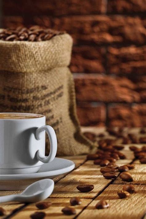 Ini menjadi omongan kalau aroma bakery mampu melawan saingan besar. Un sacco ....di caffè ~¤ (With images) | Coffee roasting, Coffee roasters, Coffee cafe