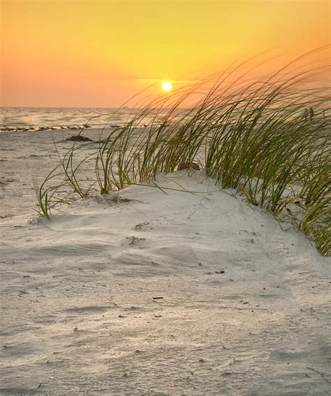 Beach Sunset Photograph By Darylann Leonard Photography Fine Art America