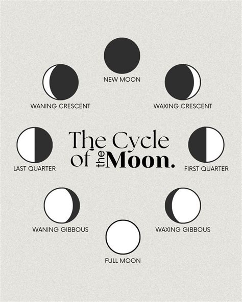 Cycle Of The Moon Lunar Phases Full Moon New Moon Astrology