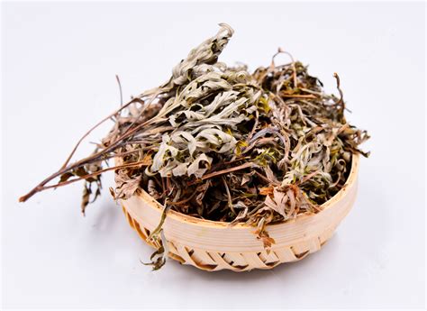 Dampness Removing Natural Wormwood Chinese Herbal Medicine Background Traditional Chinese