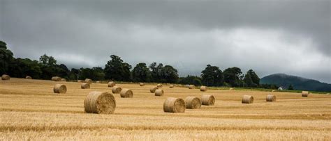 Hay Bale Field And Beautiful Overcast Sky Agriculture Rural Nature