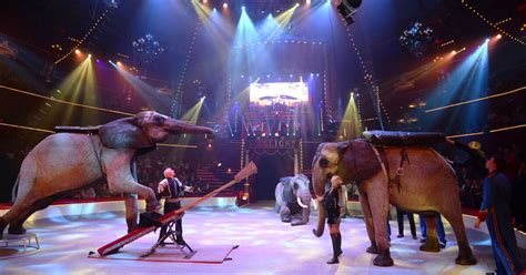 Une Campagne Daffichage Contre Les Cirques Avec Animaux Sauvages Dans