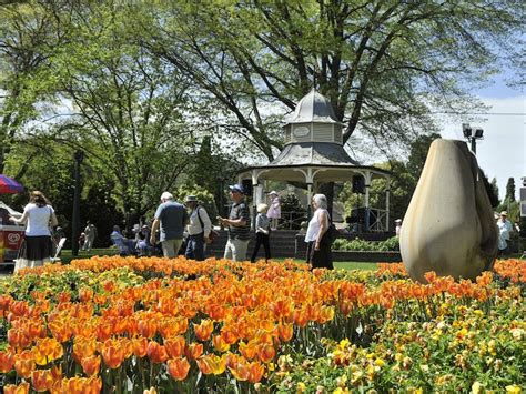 Tulip Time Festival Nsw Holidays And Accommodation Things To Do