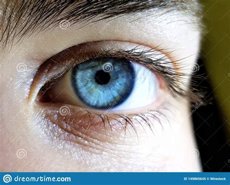 Beautiful Closeup Shot Of A Female Human S Deep Blue Eyes Stock Image