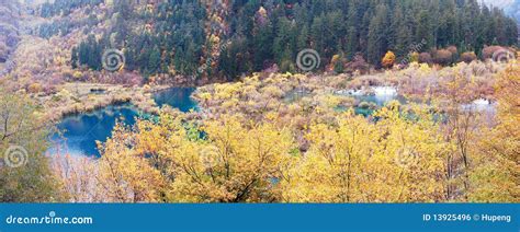 Autumn Tree And Lake Panorama In Jiuzhaigou Stock Photo Image Of