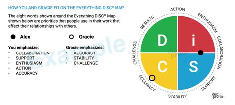 History Of Disc® Disc Profile