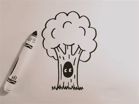 Draw Cartoon Trees Draw Spaces