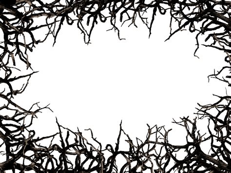 Dead Tree Branch Frame Border Png Clipart Free Nature Grass And