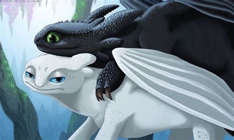 How To Train Your Dragon Toothless Porn