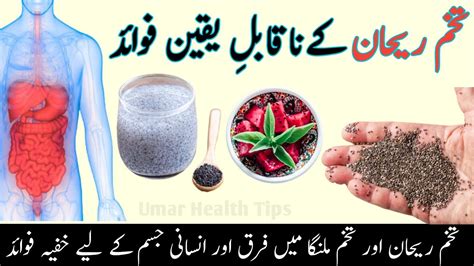 Chia Seed Benefits In Urdutukham Rehan Ke Faydetukham Rehan Or