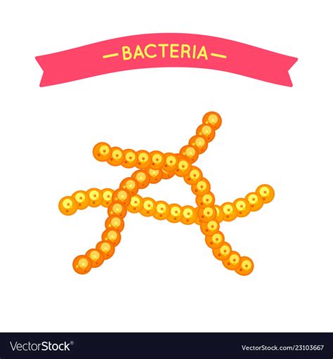 Bacillus Cereus Icon Simple Illustration Of Bacillus Cereus Vector My XXX Hot Girl
