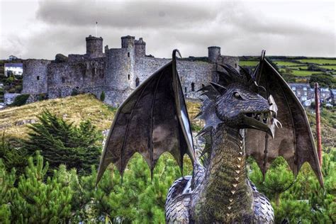 Dewi The Dragon Guardian Of Castle Harlech And Coolest Dragon On