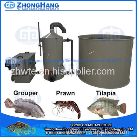 Aquaculture Equipment Tilapia Fish Farming ZH RAS100 Manufacturer From